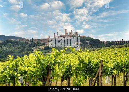 San Gimignano, Weinberge und Stadt in der Toskana, Italien Stockfoto