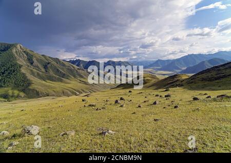 Die Steine am Hang. Altai, Russland. Stockfoto