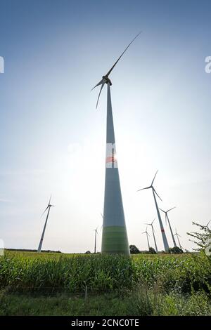 Windturbinen auf einem Kornfeld im Gegenlicht vor blauem Himmel mit Sonnenstern, Konzept für erneuerbare Energien in Norddeutschland, Kopierraum, ausgewählter Fokus Stockfoto