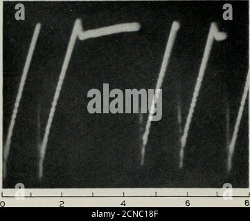 . Die Bell System technische Zeitschrift . 10 20 MIKROSEKUNDEN Abb. 25 – Oszillation bei der Glimmentladung EINES Transienten (Spannung). 56 BELL SYSTEM TECHNICAL JOURNAL. MIKROSEKUNDEN Abb. 26 – Beginn EINES Transienten (Spannung). Stockfoto