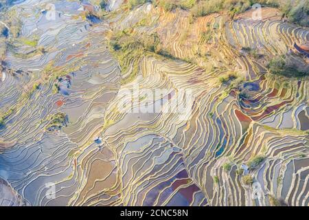 Schöne terrassenförmige Felder Textur Stockfoto