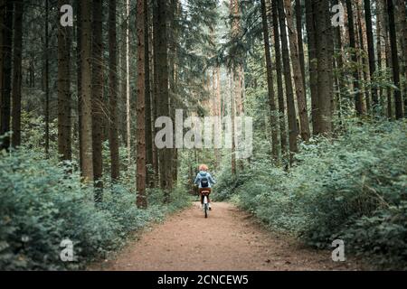 Eine Frau fährt auf einer Waldstraße in die Ferne Auf dem Fahrrad Stockfoto