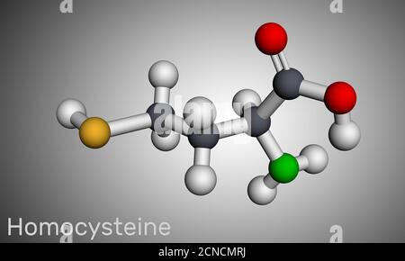 Homocystein-Biomarker-Molekül. Es ist eine schwefelhaltige, nicht proteinogene Aminosäure. Molekularmodell. 3D-Rendering Stockfoto