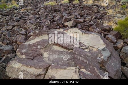 STORY COUNTY, NEVADA, USA - 16. Sep 2020: Eine Sammlung von Petroglyphen auf einem Basaltstein auf der Lagomarsino Petroglyph Site in Nevada. Stockfoto
