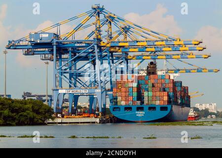 Schiff und Krane im Vallarpadam International Umschlagcontainer-Terminal, einem großen indischen Hafen, Kochi (Cochin), Kerala, Indien, Asien Stockfoto