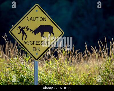 Warnschild auf dem Lady Bird Johnson Trail im Redwood National Park, UNESCO Weltkulturerbe, Kalifornien, USA Stockfoto