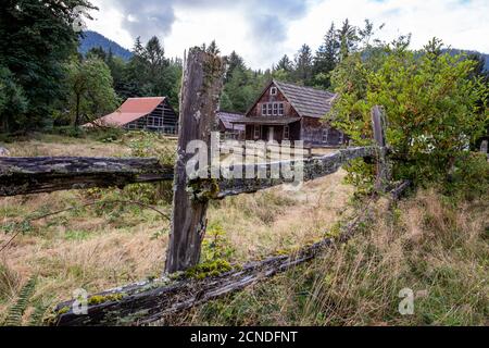 Gebäude aus dem Kestner Homestead, Quinault Rain Forest, Olympic National Park, Washington State, Vereinigte Staaten von Amerika Stockfoto