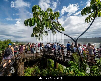 Besucher auf der Plattform bei Devil's Throat (Garganta del Diablo), Iguacu Falls, Misiones Province, Argentinien Stockfoto