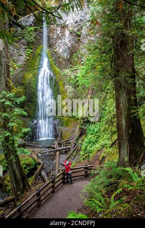 Wasserfall auf dem Marymere Falls Trail, Quinault Rain Forest, Olympic National Park, Washington State, Vereinigte Staaten von Amerika Stockfoto