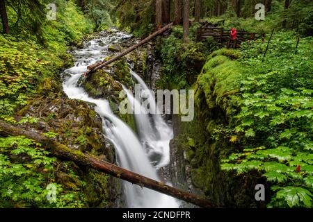 Fotograf auf dem Sol Duc Falls Trail, Sol Duc Valley, Olympic National Park, Washington State, Vereinigte Staaten von Amerika Stockfoto