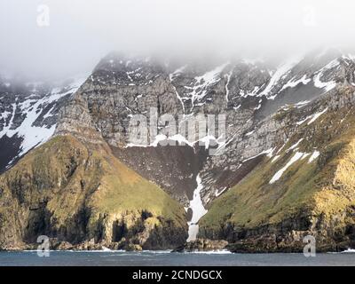 Das felsige Ufer der Bird Island, auf der nordwestlichen Seite von Süd-Georgien, Polarregionen Stockfoto