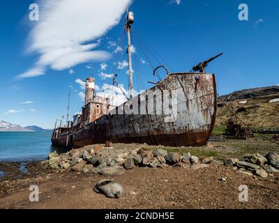 Rosting Catcher Boot an der verlassenen norwegischen Walfangstation in Grytviken, East Cumberland Bay, South Georgia, Polarregionen Stockfoto