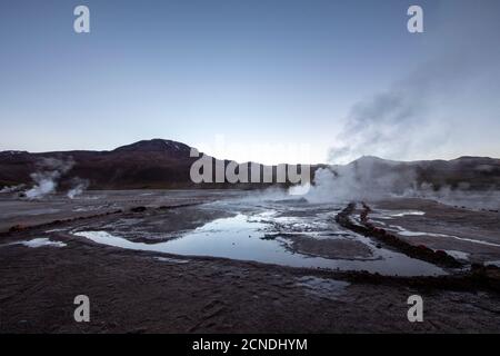 Licht vor der Morgendämmerung auf den Geysiren del Tatio (El Tatio), dem drittgrößten Geysir-Feld der Welt, Anden-Zentralvulkangebiet, Region Antofagasta Stockfoto