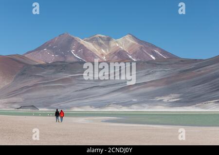 Coupe Walking in Salar de Aguas Calientes, Nationalpark Los Flamencos, Region Antofagasta, Chile Stockfoto