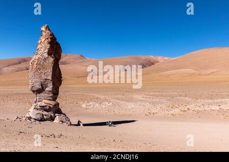 Steinformation im Salar de Tara y Aguas Calientes I, Nationalpark Los Flamencos, Region Antofagasta, Chile Stockfoto