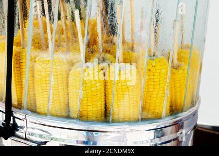 Isolierte Ansicht von gedämpftem goldfarbenem Mais auf einem Stock zum Verkauf durch einen Verkäufer auf den Philippinen. Der gelbe Mais wird für Frische hinter Glas aufbewahrt. Stockfoto