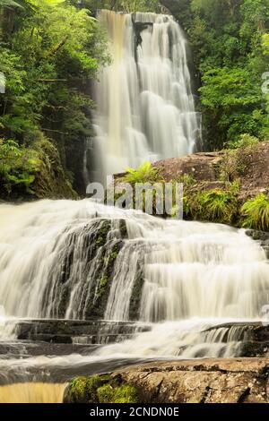 McLean Falls, McLean Falls Walk, The Catlins, Otago, South Island, Neuseeland, Pazifik Stockfoto