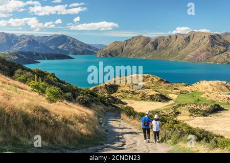 Wanderer auf Roy's Peak Track genießen die Aussicht über Lake Wanaka, Mount-Aspiring National Park, Otago, South Island, Neuseeland, Pazifik Stockfoto