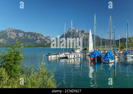 Forggensee, Tannheimer Alpen, Füssen, Allgau, Schwaben, Bayern, Deutschland, Europa Stockfoto