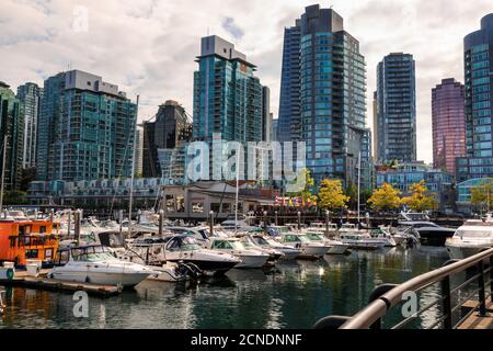 Jachthafen in Coal Harbour, mit Freizeitbooten und Hausbooten, Skyline der Stadt, Vancouver, British Columbia, Kanada Stockfoto