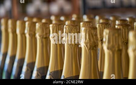 Flaschen Champagner mit goldenem Kopf Stockfoto