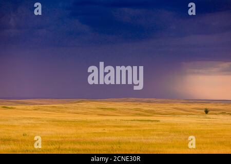 Rollende Ebenen gegen einen dunklen stürmischen Himmel in den Badlands, South Dakota, USA Stockfoto