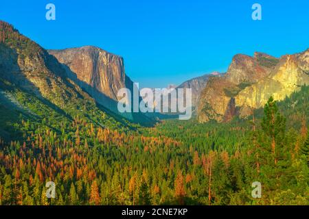 Tunnelblick im Yosemite Nationalpark, El Capitan und Half Dome Overlook, Kalifornien, Vereinigte Staaten von Amerika Stockfoto