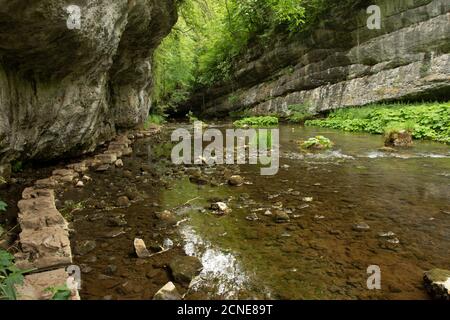 Trittsteine entlang des Flusses Wye in der Chee Dale Kalksteinschlucht, Peak District National Park, Derbyshire, England, Vereinigtes Königreich, Europa Stockfoto