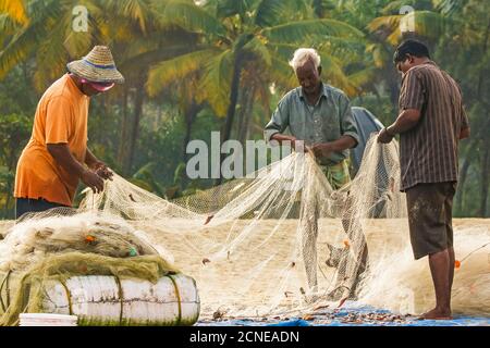 Fischer sammeln kleinen Fang aus Kiemennetz am beliebten Marari Beach, Mararikulam, Alappuzha (Alleppey), Kerala, Indien, Asien Stockfoto