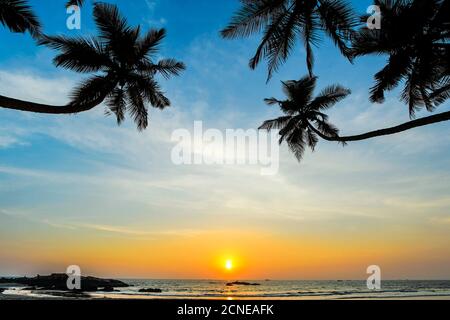 Schiefe Palmen bei Sonnenuntergang am schönen unberührten Kizhunna Strand, südlich von Kannur an der Nordküste des Staates, Kannur, Kerala, Indien, Asien Stockfoto