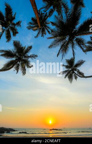 Schiefe Palmen bei Sonnenuntergang am schönen unberührten Kizhunna Strand, südlich von Kannur an der Nordküste des Staates, Kannur, Kerala, Indien, Asien Stockfoto