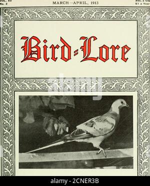 . Vogelkunde . 67 der do.mmerich Fonds; die Vögel füttern; die McLean Bill; Beitrag zum Egret Protection Fund für 1912; Neue Mitglieder; Ju.nior Audu-bon Klassen; von einem Tennessee Audubon Arbeiter; Allgemeine Nachrichten; das Audubon Gefieder Gesetz in New York und New Jersey. .:;:.*:;:. Manuskripte für die Veröffentlichung, Bücher, etc., für die Überprüfung und den Austausch, sollten an den Herausgeber, im American Museum of Natural History, 77 th St. und 8th Ave., New York City. Mitteilungen über Änderungen von Adressen, Verlängerungen und Abonnements sollten an BIRD-LORE gesendet werden. HARRISBURG, PA. WICHTIGER HINWEIS FÜR ALLE VÖGEL Stockfoto