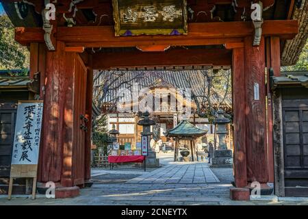 Chofu Jindaiji von Sakura und Stadt Stockfoto