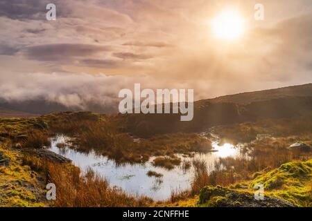 Nebel und dramatischer Himmel über einem Sumpf mit Sonne reflektiert In einer Pfütze Stockfoto