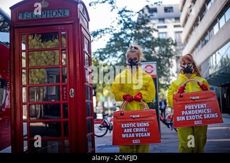 In Gefahr gekleidete Demonstranten der PETA-Gruppe für Tierrechte demonstrieren vor dem Somerset House, dem Veranstaltungsort der London Fashion Week. Stockfoto