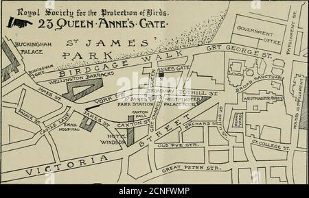 . Vogelnotizen und Nachrichten . in und nach dem 1. Juli, die Hauptquartier der Royal Society for the Protection of Birds wird Bez / dl um 23, Queen Annes Gate, West-Münster, S.W. (Telefon 2412 Victoria.)die Zoological Society of London, die die Räumlichkeiten in Nr. 3, HanoverSquare, haben beschlossen, den Ort wegen seiner wachsenden Unsicherheit zu verkaufen und neue Büros in den ZoologicalGardens zu bauen; daher ihre Mieter necessarilyerhalten Kündigungsmitteilung. Die Änderung ist in den neuen Büros der Gesellschaft, bei No. 23, Queen Annes Gate, wird kein Zweifel in somerespects bequemer für viele Mitglieder und Freund sein Stockfoto