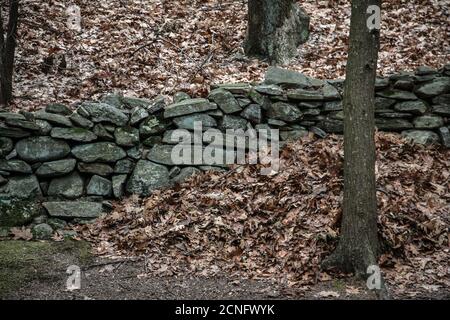 Blätter stapelten sich neben einer alten Steinmauer hinein Connecticut Stockfoto