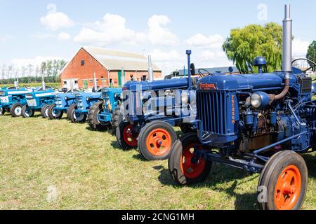 Kieldrecht, Belgien, 1. September 2019, dunkelblaue und hellblaue Fordson-Traktoren nebeneinander Stockfoto