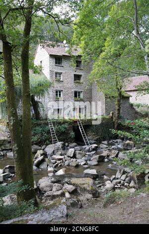 Vallée de la Sedelle, Crozant, Creuse, Mittelfrankreich, Europa Stockfoto