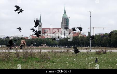 18. September 2020, Bayern, München: Vögel fliegen über die Theresienwiese. Im Hintergrund sieht man die Kirche St. Paul. Normalerweise hätte das Oktoberfest am 19.09.2020 auf der Theresienwiese eröffnet. Das größte Volksfest der Welt wurde wegen der Corona Pandemie 2020 abgesagt. Foto: Josefine Kaukemüller/dpa Stockfoto