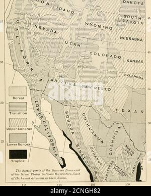 . Handbuch der Vögel der westlichen Vereinigten Staaten, einschließlich der großen Ebenen, großen Becken, Pacific Slope, und unteren Rio Grande Tal. Land Karibu, Elche, große Nordwürger, Zirbelfink, und weiß-geflügelte Kreuzschnabel. ^ Auf Mt. Shasta seine einzigen Bäume sind der schwarze alpine Hemlock und weiß-belled Kiefer, sein Charakter-istic Säugetier ist der Cony {Ochotona), und sein charakteristischer Vogel theClarke Krähe. Es wird auch von den Rußhuhn, Westerngoshawk, Williamson Sapsucker, rufous Kolibri, Oregon jay, Kiefer Siskin, junco, Audubon und Einsiedler Warbler, kriechende, Rotbrustnuthatch, Kinglet besucht Stockfoto