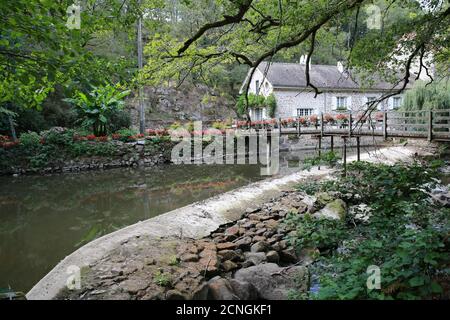 Vallée de la Sedelle, Crozant, Creuse, Mittelfrankreich, Europa Stockfoto