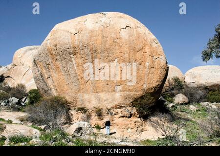 Riesige Granitfelsen In Der Australischen Landschaft. Stockfoto