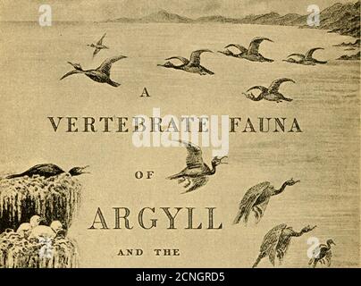 . Die Vögel von Berwickshire; mit Bemerkungen über ihre lokale Verteilung Migration, und Gewohnheiten, und auch über die Folk-Lore, Sprichwörter, populäre Reime und Sprüche mit ihnen verbunden. [ INNERE HEBRIDEN THOMyi,s L. Qlzey. Mfu Stockfoto