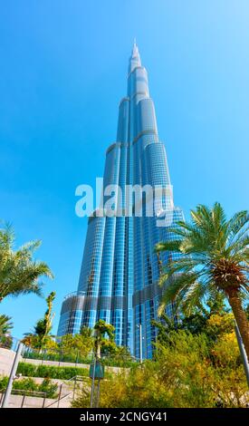 Dubai, VAE - 01. Februar 2020: Das Burj Khalifa Gebäude in Downtown Dubai und Garten mit Palmen in der Nähe, Vereinigte Arabische Emirate Stockfoto