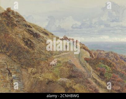 Bonchurch Downs, 1865. Stockfoto