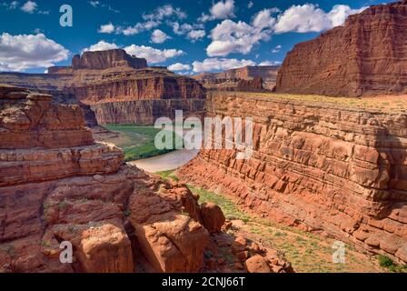 Colorado River im Shafer Canyon, von der Potash Road, Canyonlands National Park, Utah, USA Stockfoto