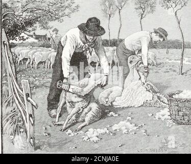 . McGuffeys zweiter eklektischer Leser. 54 EKLEKTISCHE SERIE. LEKTION XXIV. Gründliche Lyshearerandere wi§e monthsheep driedthoge woven «loth djedspanv&lt;Tol €UTS dirtrub. SHEEP-SHEAEING. 1. Schafe werden gewaschen und gescherdet einige Zeit im Monat Juni.Dies sollte ziemlich früh in themonth getan werden, bevor die heißen Tage beginnen. ZWEITE READEK. 55 2. Es ist ein schöner Sport für die ganzen Leute, Hütte nicht viel Spaß für den Heep. 3. Es ist für die Schafe gehöest, die Wolle abzuziehen; sonst würden sie im Sommer leiden. 4. Wenn die Zeit für das Waschen der Schafe kommt, werden sie zu einem Pondor einen kleinen Fluss getrieben. 5. Stockfoto