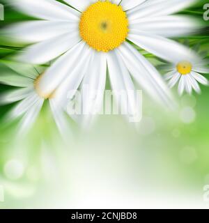 Natur Hintergrund Stockfoto