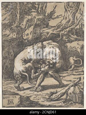 Herkules und der Nemean Lion, 1540-50. Stockfoto